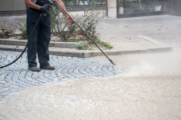 Best Animal Enclosure Cleaning  in Nett, MO